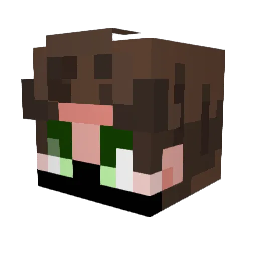 onionz_MC Minecraft avatar head, 3D render