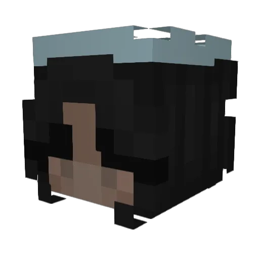 onliness Minecraft avatar head, 3D render