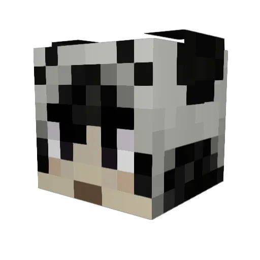 onliryan Minecraft avatar head, 3D render