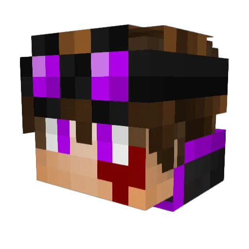 onlyAces Minecraft avatar head, 3D render