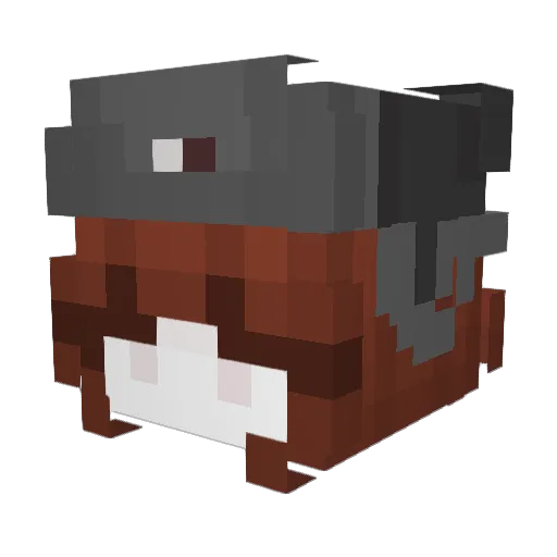 onlyHuni Minecraft avatar head, 3D render