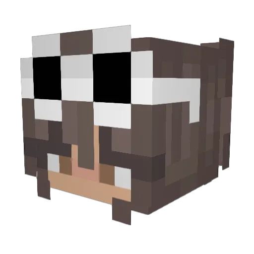 onlyJenna_ Minecraft avatar head, 3D render