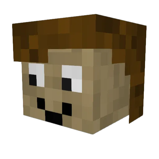 only_wk Minecraft avatar head, 3D render