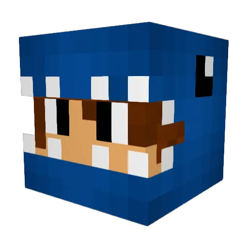 onlyalilbit Minecraft avatar head, 3D render