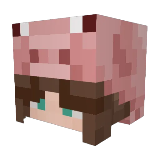 onlycaroll Minecraft avatar head, 3D render