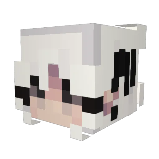 onlydelight Minecraft avatar head, 3D render