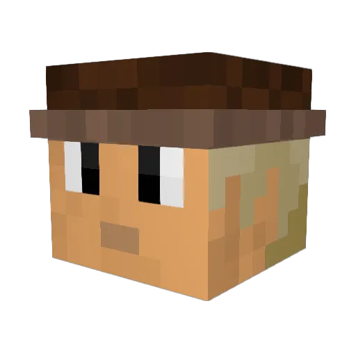 onlyintexas Minecraft avatar head, 3D render