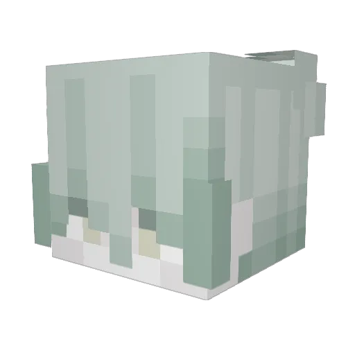 onlykali Minecraft avatar head, 3D render