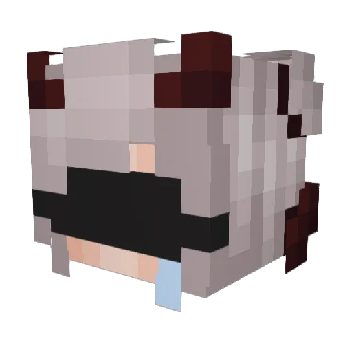 onlylovely Minecraft avatar head, 3D render