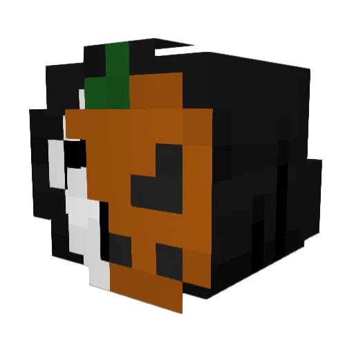 onlynelchilling Minecraft avatar head, 3D render