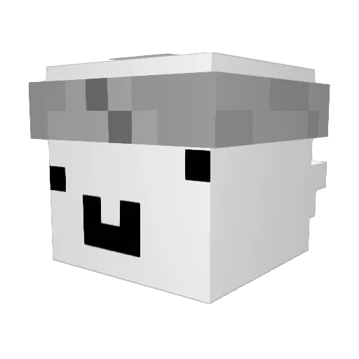 onlysp4mmer Minecraft avatar head, 3D render