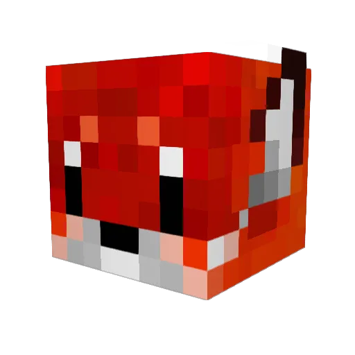 onmoraki Minecraft avatar head, 3D render