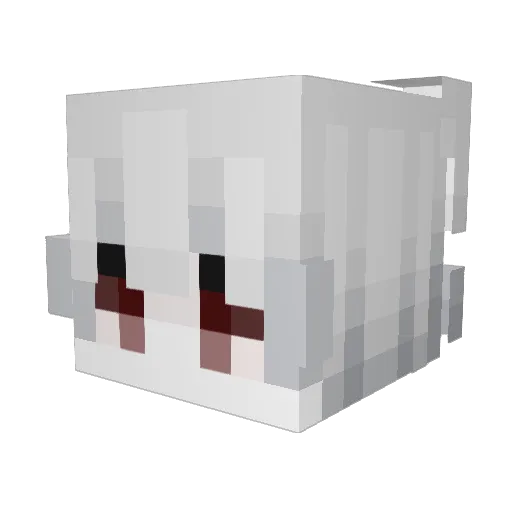 onoti Minecraft avatar head, 3D render