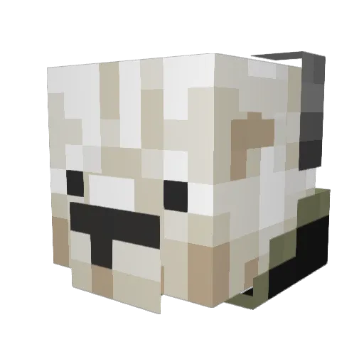 onrs Minecraft avatar head, 3D render