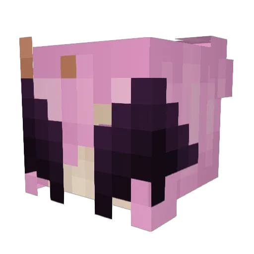 onyxeki Minecraft avatar head, 3D render