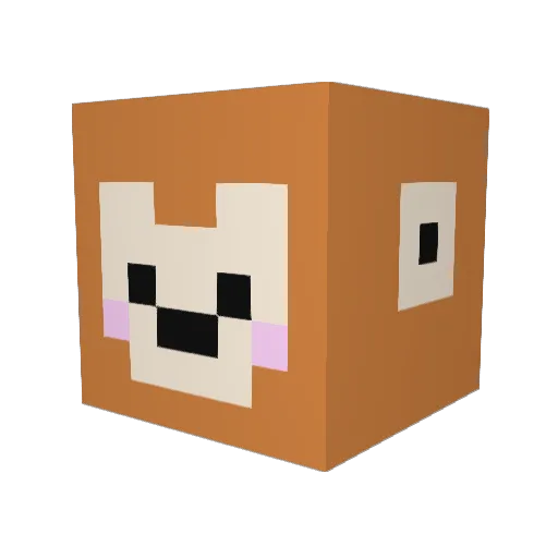 oo0ooooOOoo Minecraft avatar head, 3D render