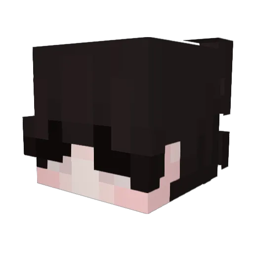 ooSoundless Minecraft avatar head, 3D render