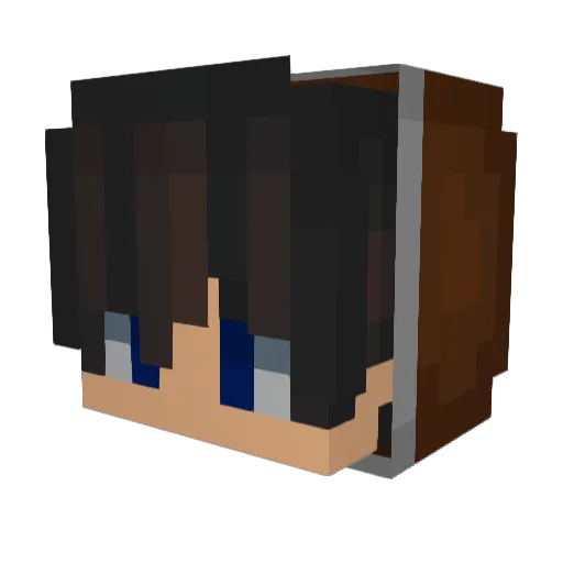 oo__1 Minecraft avatar head, 3D render