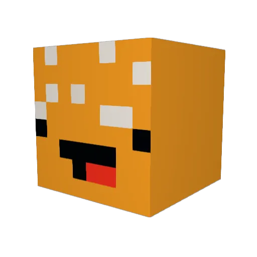 ooanygames Minecraft avatar head, 3D render