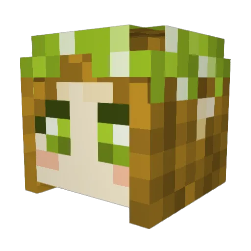 oofded121 Minecraft avatar head, 3D render