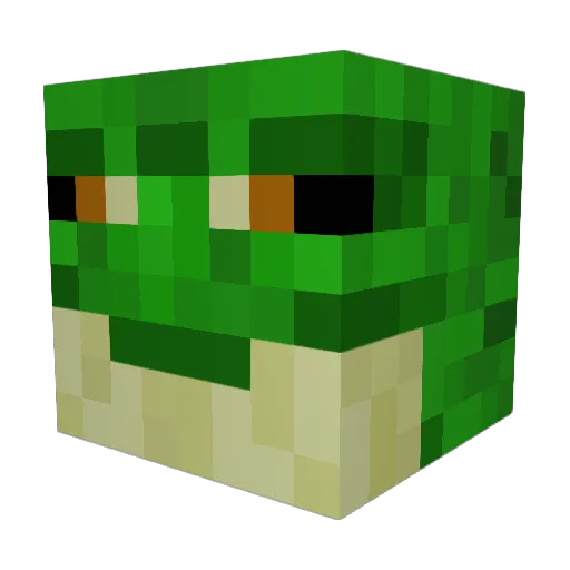 oofyboi484 Minecraft avatar head, 3D render