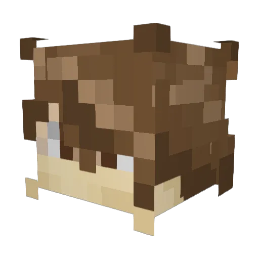 oogaa_ Minecraft avatar head, 3D render