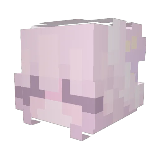 oogitboogit Minecraft avatar head, 3D render