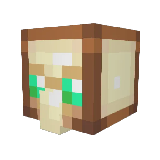oogway00 Minecraft avatar head, 3D render