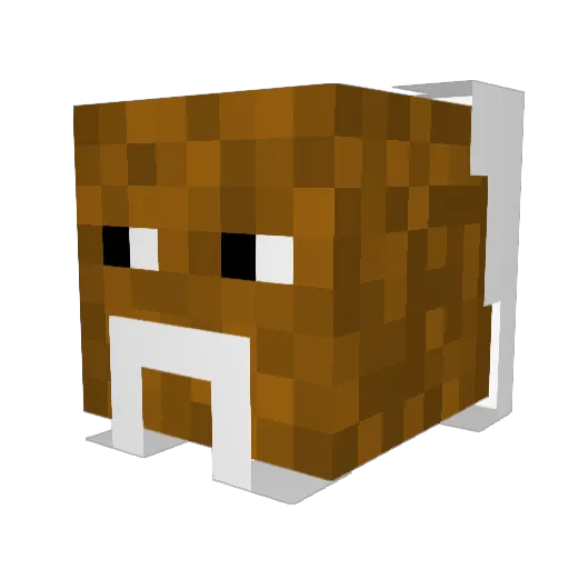 oojay_ Minecraft avatar head, 3D render