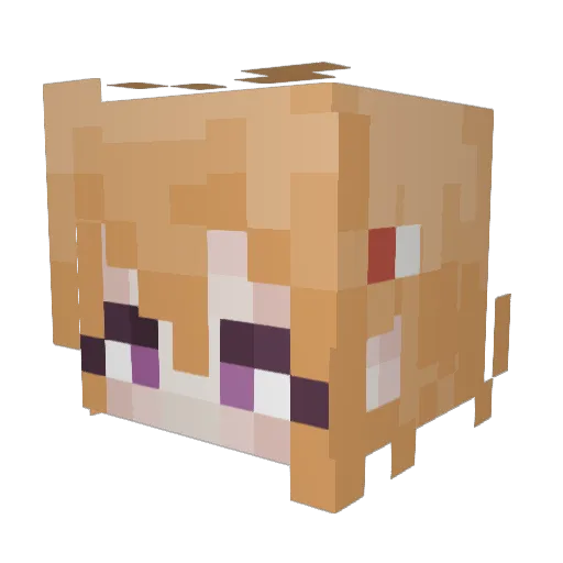 ookami373 Minecraft avatar head, 3D render