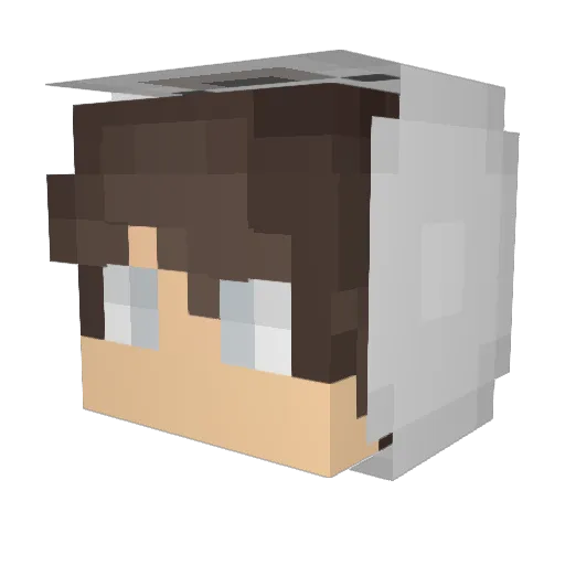 ookie15 Minecraft avatar head, 3D render