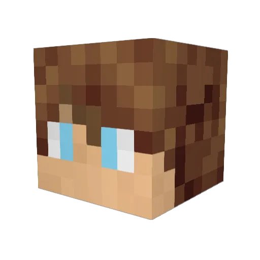 ool2109 Minecraft avatar head, 3D render