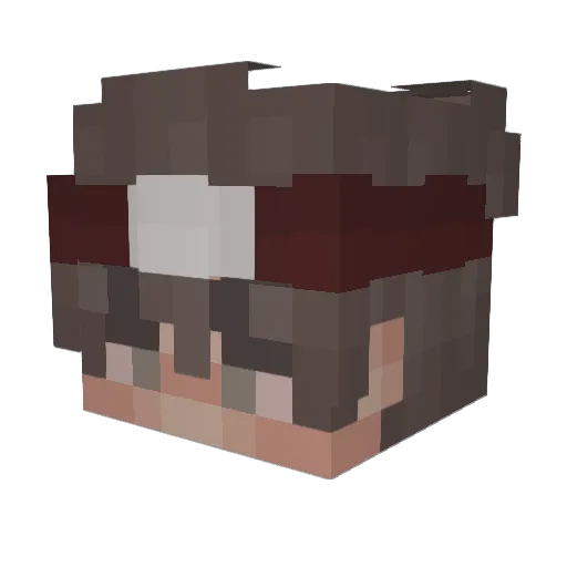 oolostoo Minecraft avatar head, 3D render