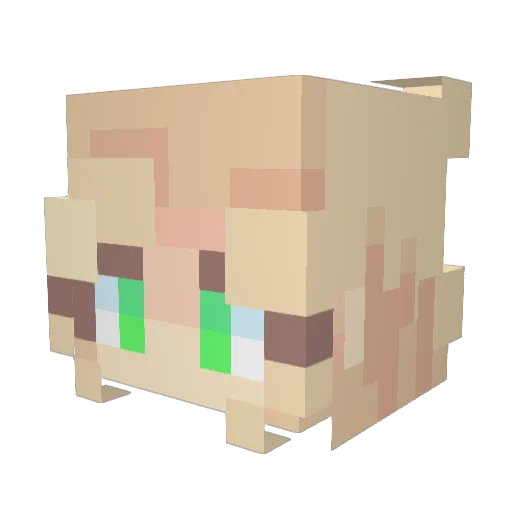 oompaallama Minecraft avatar head, 3D render