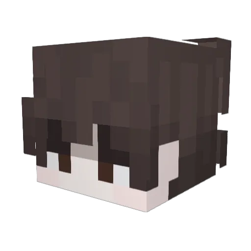 ooo Minecraft avatar head, 3D render