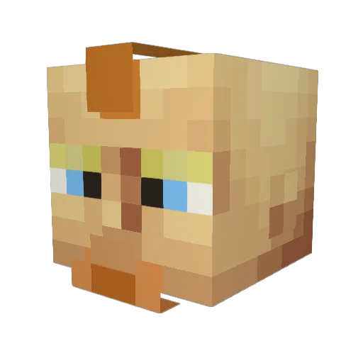 oooHellNo Minecraft avatar head, 3D render
