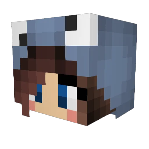 oooSharpie Minecraft avatar head, 3D render