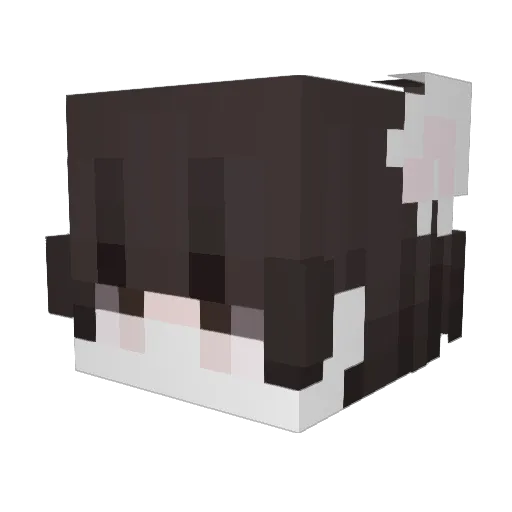 oooowwwwoooo Minecraft avatar head, 3D render