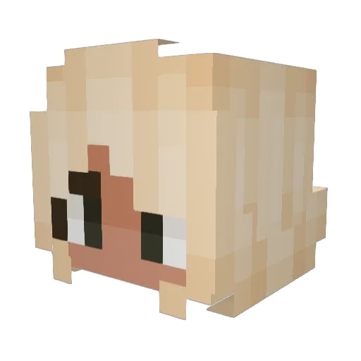 oop_eden Minecraft avatar head, 3D render