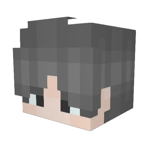 oops_sorry_pls Minecraft avatar head, 3D render