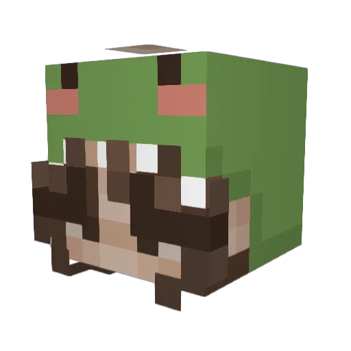 oorlanne Minecraft avatar head, 3D render