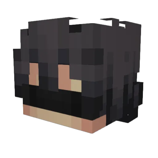 op_pepsi Minecraft avatar head, 3D render