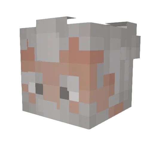 opa_seb Minecraft avatar head, 3D render