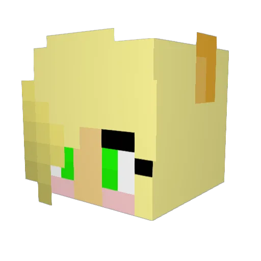 opal56765 Minecraft avatar head, 3D render