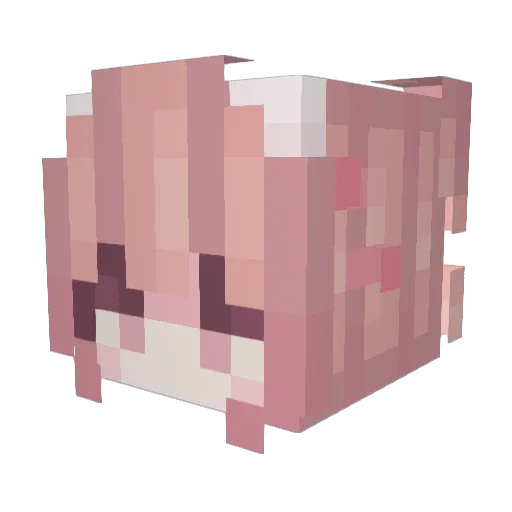 opal_00_58 Minecraft avatar head, 3D render