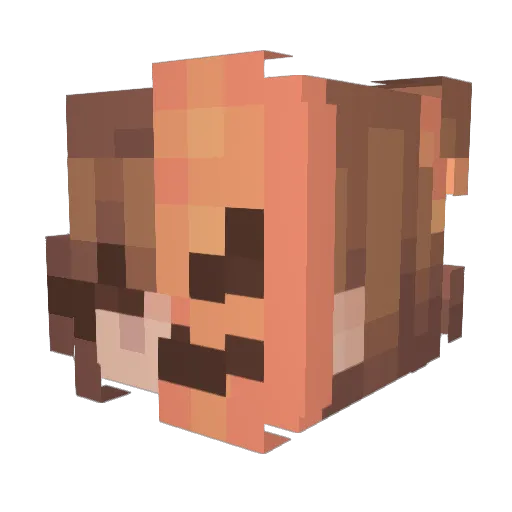 opaliine Minecraft avatar head, 3D render