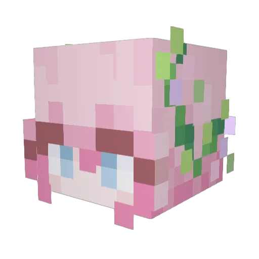 opaloracle Minecraft avatar head, 3D render