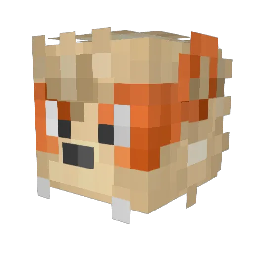 opalrunner Minecraft avatar head, 3D render