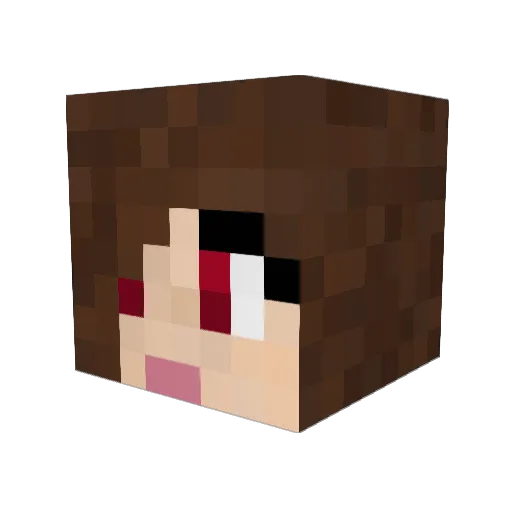 opaltiger Minecraft avatar head, 3D render
