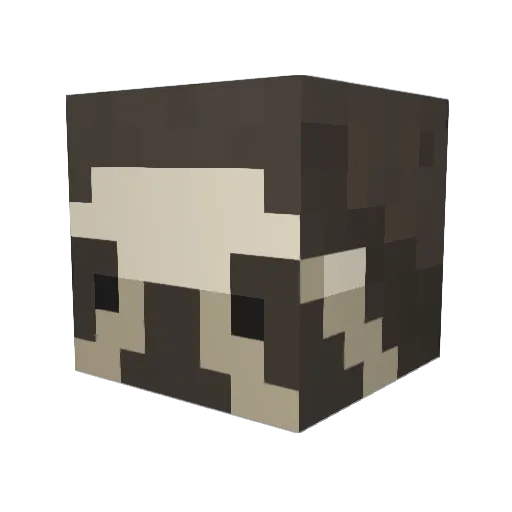 opaque279 Minecraft avatar head, 3D render